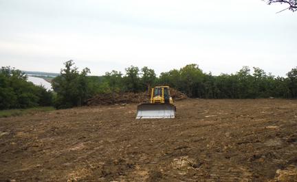 land clearing